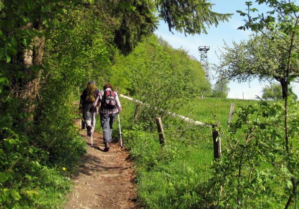 Gehrenberg und sein Aussichtsturm: Wandern am Markdorfer Hausberg