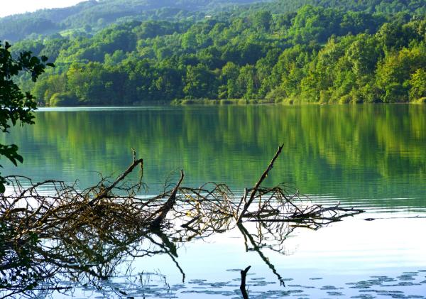 Der Mindelsee: Der kleine Bodensee-Bruder mit großer Wildnis