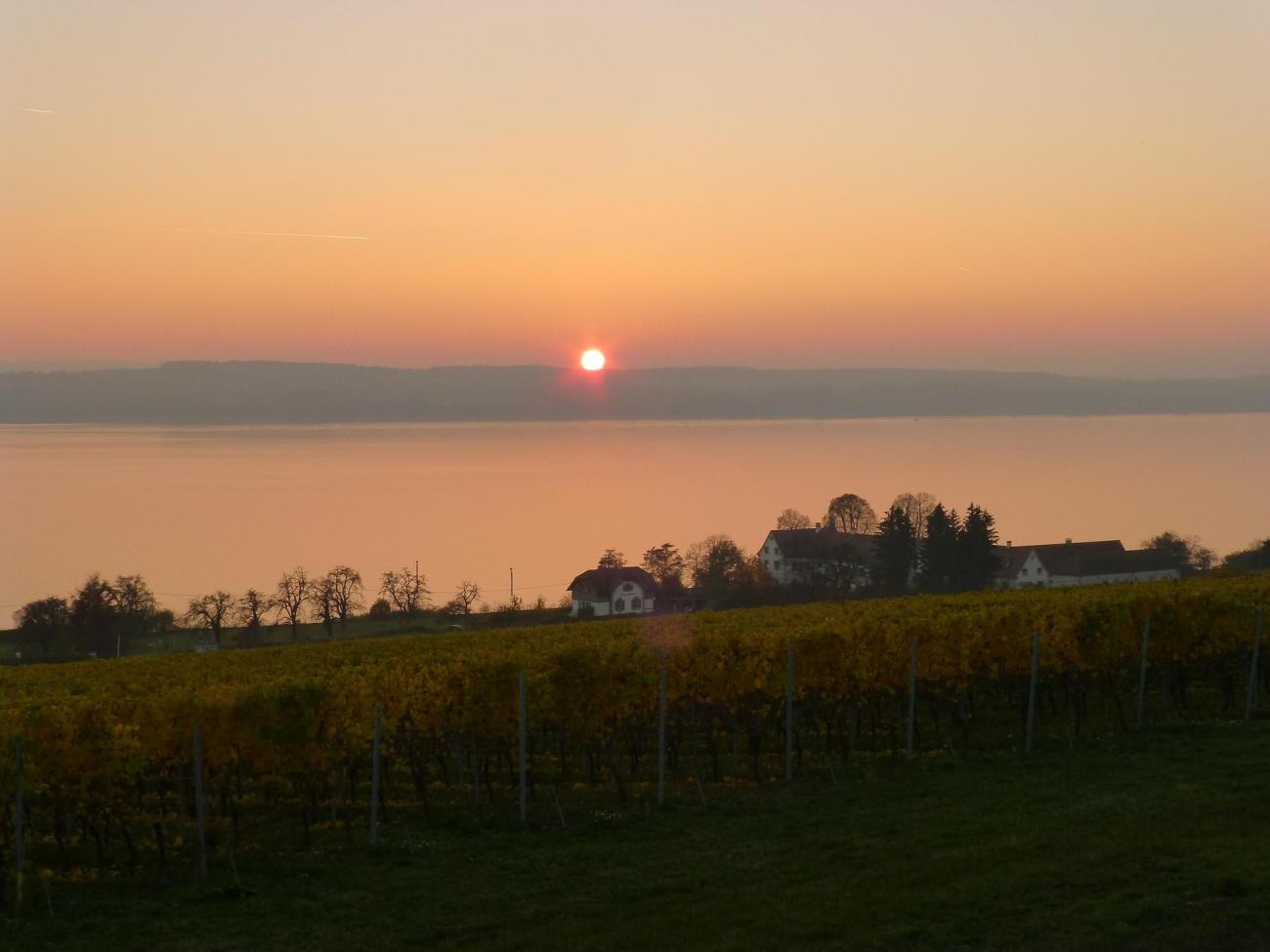 Wallfahrtskirche Birnau: Das Barockjuwel zwischen Weinbergen mit Seeblick