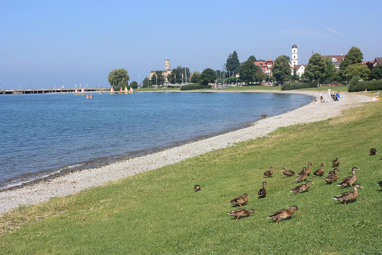 Strandleben am Nordufer: Schwimmspaß und Alpenpanorama in Langenargen
