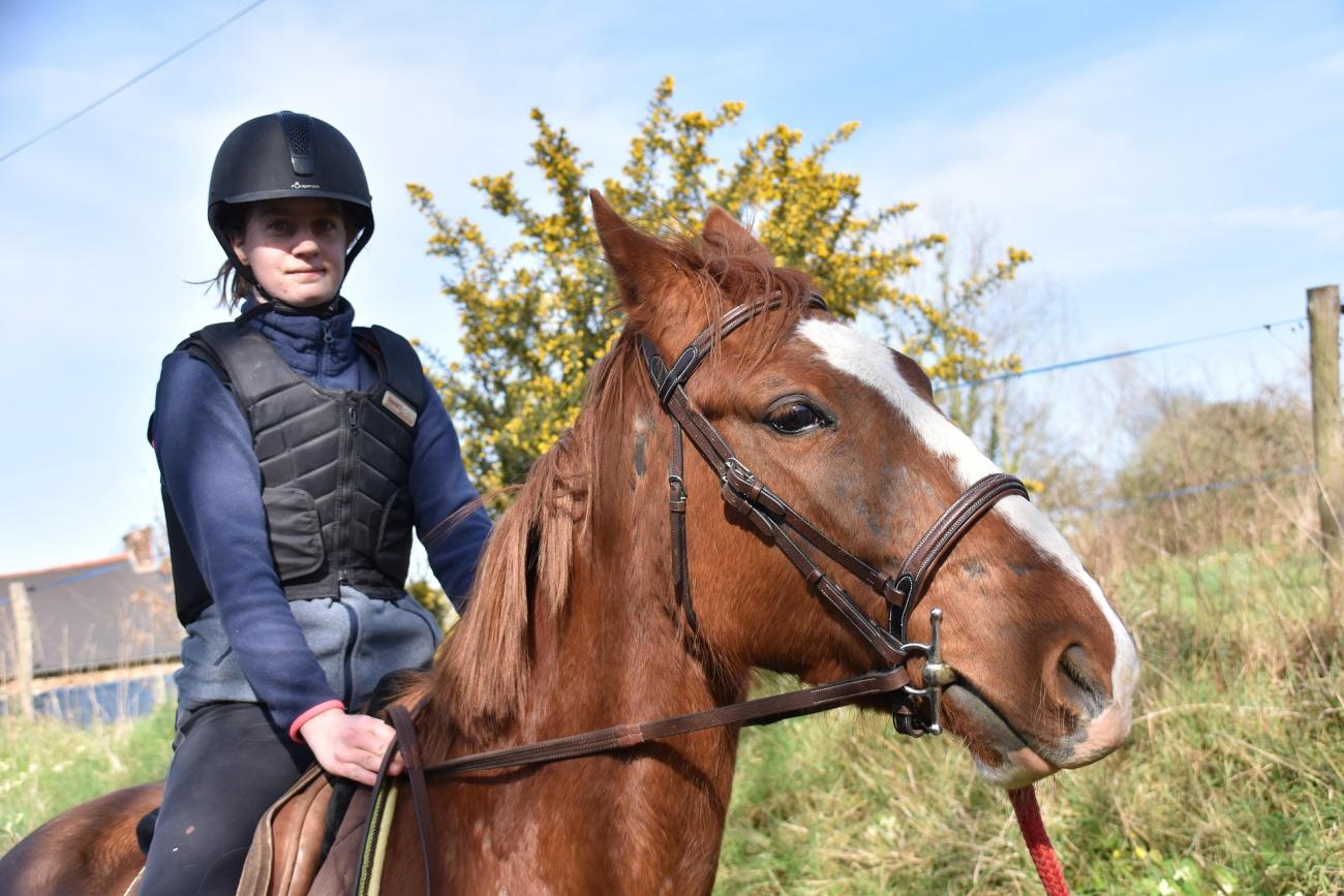 Reiten am Seeufer: Ausritte und Reiterhöfe rund um den Bodensee