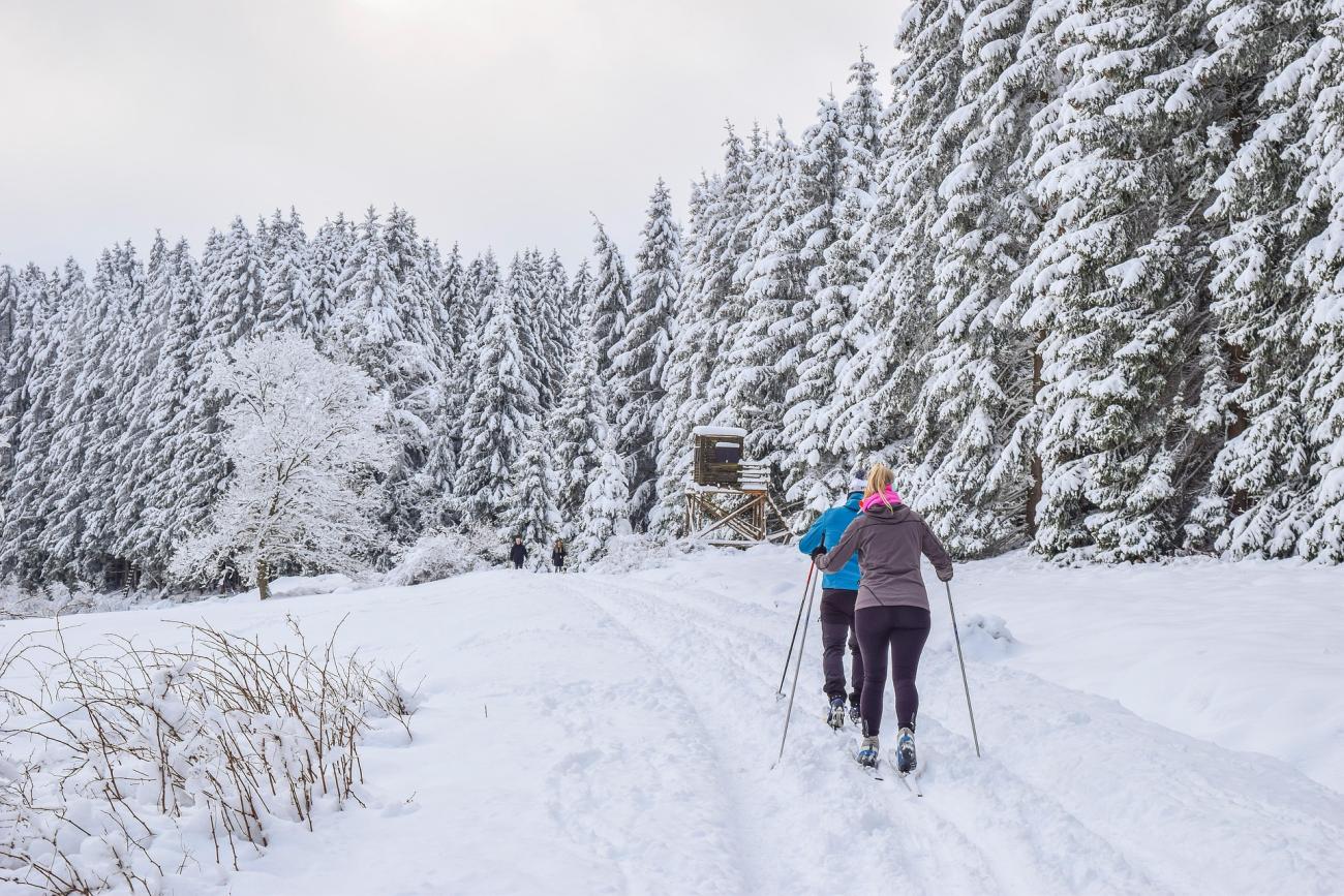Winterzauber am Bodensee: Langlauf, Rodeln und Schlittschuhlaufen