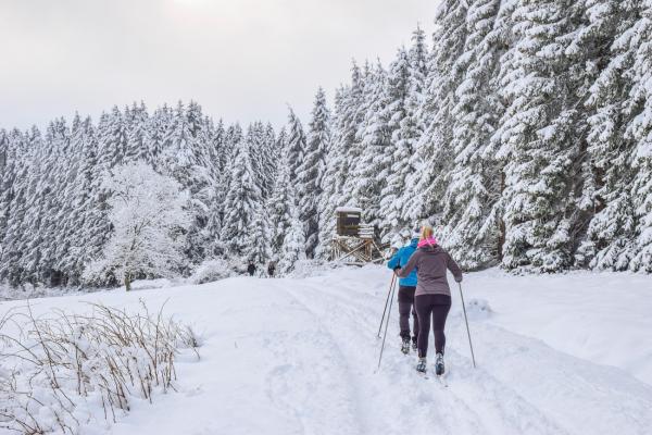 Winterzauber am Bodensee: Langlauf, Rodeln und Schlittschuhlaufen