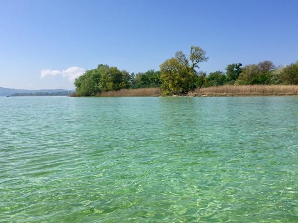 Halbinsel Mettnau: Spaziergang in einem der ältesten Naturschutzgebiete